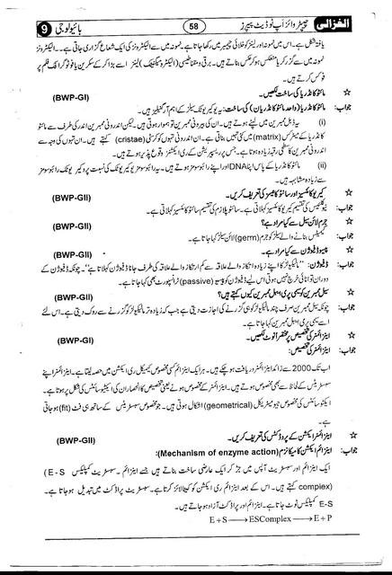 9th class solved guess paper 2022 pdf download